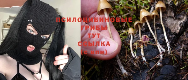 марки nbome Нязепетровск