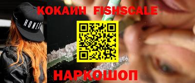 spice Гатчина