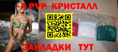 spice Гатчина