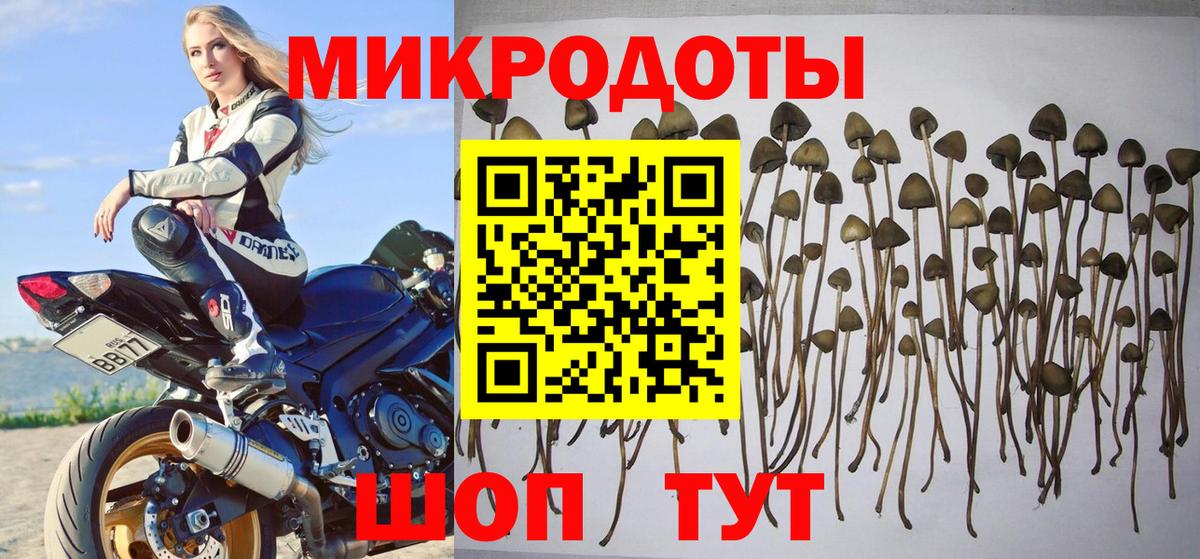 Псилоцибиновые грибы MAGIC MUSHROOMS Заводоуковск