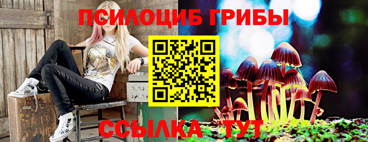 Псилоцибиновые грибы Psilocybe  Заводоуковск 