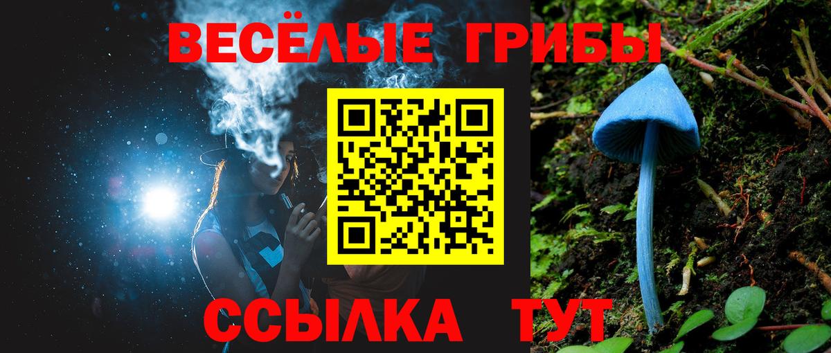 Заводоуковск  Галлюциногенные грибы Magic Shrooms  Псилоцибиновые грибы MAGIC MUSHROOMS  Вход с VPN 