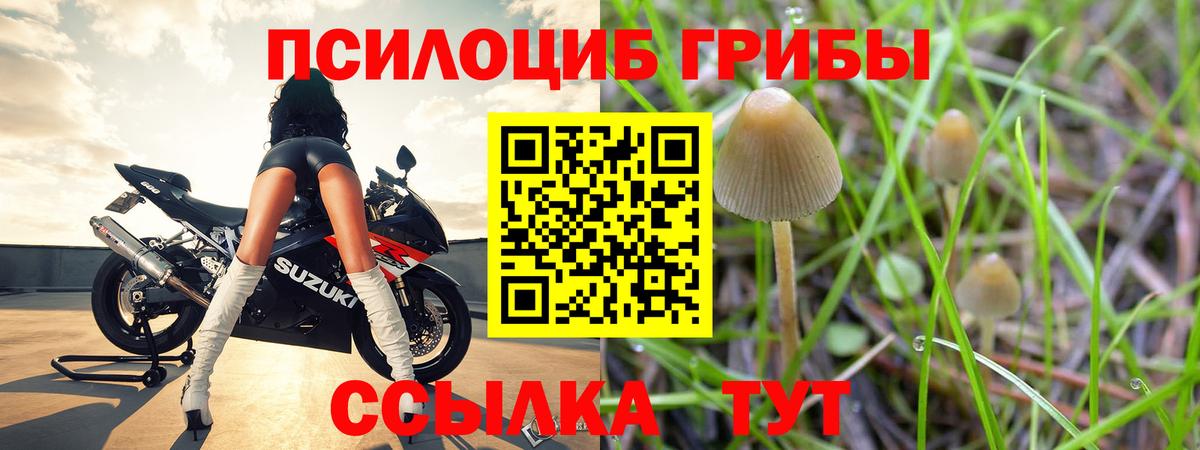Галлюциногенные грибы мицелий Заводоуковск