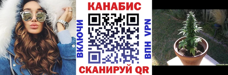 Конопля Bruce Banner  Заводоуковск 
